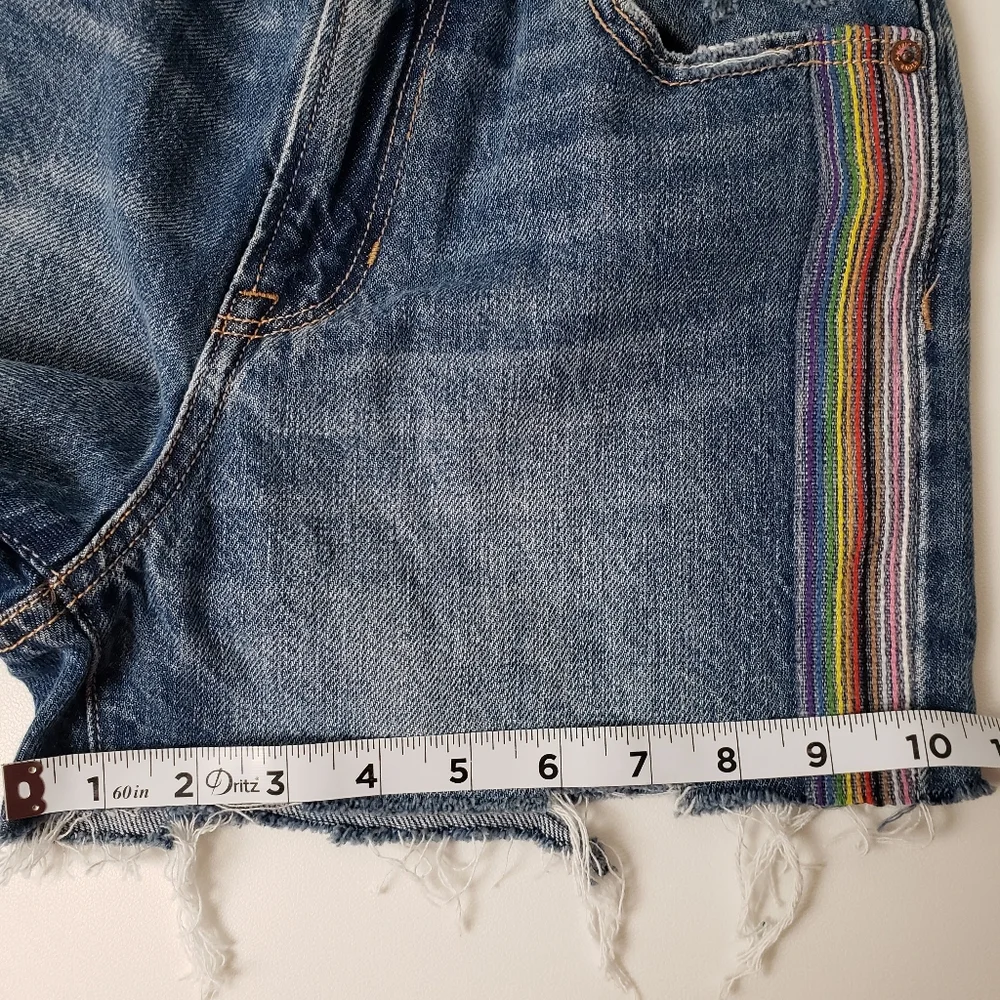 American Eagle *NEW* Womens Rainbow Highest Rise 90s Boyfriend Denim Shorts 00